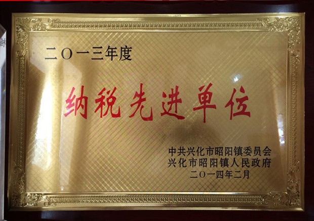 2013年度纳税先进单位